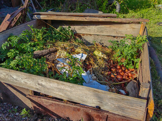 Wooden compost bin filled with potato plants and onions, promoting a sustainable gardening approach.