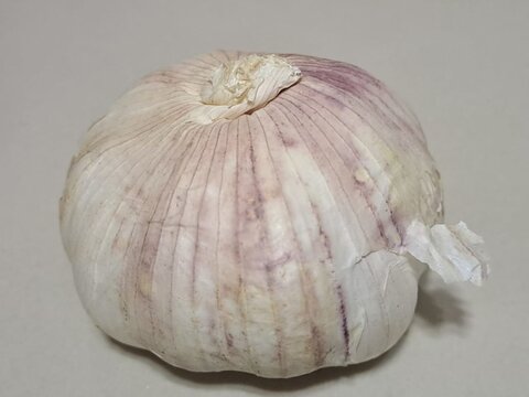 garlic on a wooden background