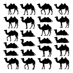 Camel Silhouette Collection  Bactrian & Dromedary Desert Animal Vector Icons
