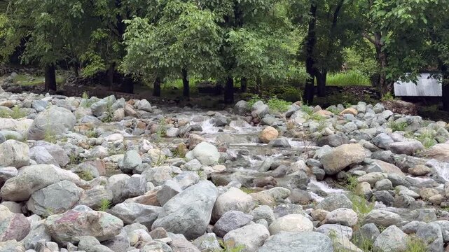 Exploring Nature Beauty, Travel Through Kashmir Green Landscapes, Birds, Water, Plants and the Life of Indian Farmers and Environment Lovers  Clip 154