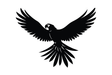 Fototapeta premium Macaw Flapping Away From Approaching Hand Graphic Design Illustration Artwork