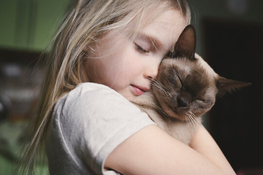 Little girl cuddling with her Burma cat
