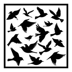 black silhouettes of birds