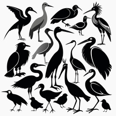 Obraz premium collection of birds