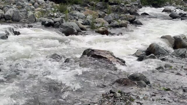 Exploring Nature Beauty, Travel Through Kashmir Green Landscapes, Birds, Water, Plants and the Life of Indian Farmers and Environment Lovers  Clip 157