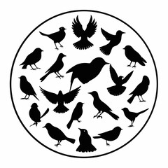 Fototapeta premium bird silhouettes 