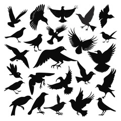 black silhouettes of birds