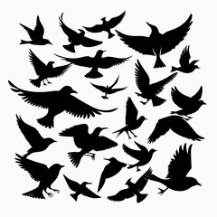 silhouettes of birds