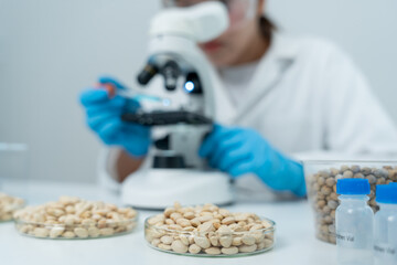 Scientist check chemical whole grains residues in laboratory. Control experts inspect the...