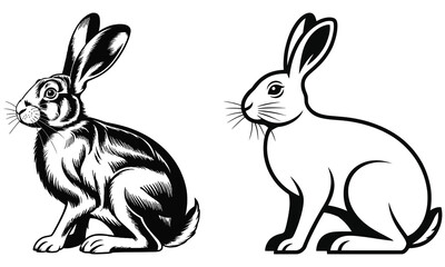 Fototapeta premium black and white rabbit
