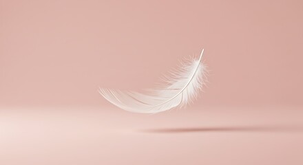 Obraz premium A single, delicate white feather floating gently against a soft pink background.