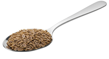 Isolated Dill Seeds in Spoon