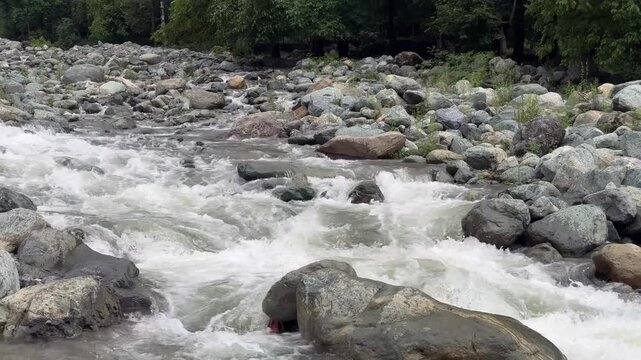 Exploring Nature Beauty, Travel Through Kashmir Green Landscapes, Birds, Water, Plants and the Life of Indian Farmers and Environment Lovers  Clip 164
