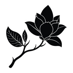 Magnolia flower, magnolia tree branch. Vector art