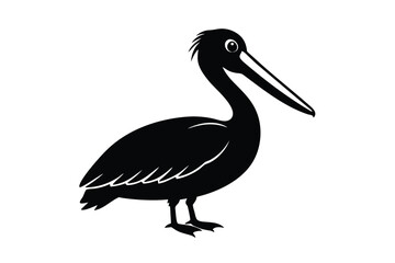 Fototapeta premium Stiff Pelican Refusing to Open Its Beak Detailed Vector Illustration