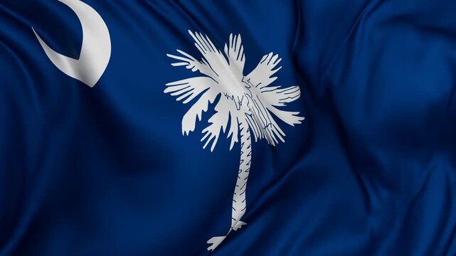 South Carolina US state flag swaying in the wind, looped endless cycled video, completely full screen covers flag background