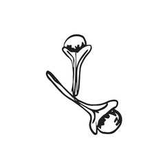 fruits and spices for tea autumn vibes drawing