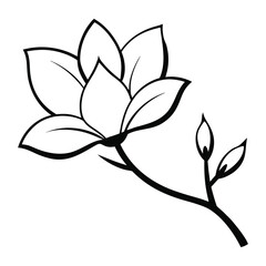 Magnolia flower, magnolia tree branch. Vector art