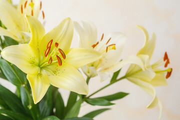 Obraz premium Yellow lilies in vase on soft neutral background – perfect for romantic floral branding or spa visuals