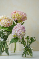 Hydrangea trio in clear vase – perfect for editorial designs, product mockups, and branding