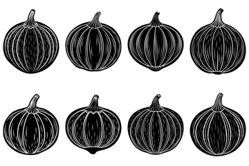 Illustration of eight gourds with vertical lines in black and white on a white background