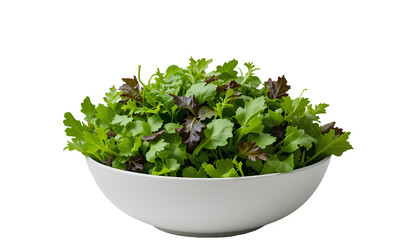 White Ceramic Bowl of Leafy Greens &ndash; Fresh Mix of Arugula, Spinach, and Lettuce Isolated on Transparent Background