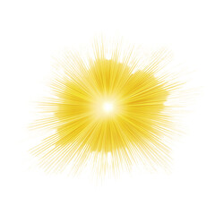 Abstract yellow sun rays on transparent background, png