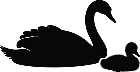 Swan and baby cygnet silhouette, black swan vector, mother and chick bird, elegant wildlife, peaceful swimming waterfowl, nature bird graphic, outline art
