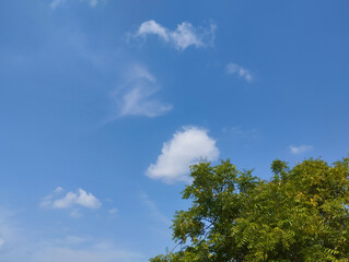 Obraz premium Green trees with beautiful clean sky and clouds background