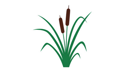 Isolated Reed Plant Illustration