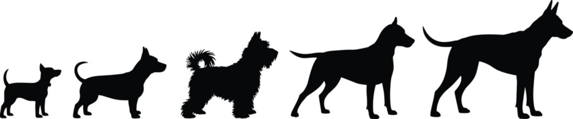 Dog life stages silhouette, dog evolution silhouette, growing puppy silhouette, pet age development, canine growth silhouette vector, black dog shape set, silhouette