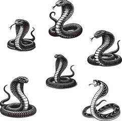 snake silhouette vector set