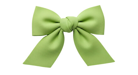 Isolated Green Bow