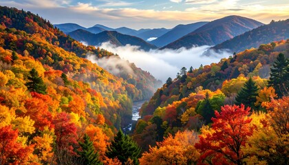 Mist veils the autumn hills