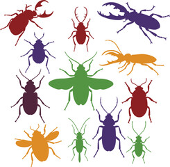 Diverse set of colorful insect silhouettes on a white background, featuring various beetle and bug species. A vibrant collection of bug designs for natural history, biology, or children's education.