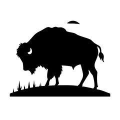 Bison Silhouette in Foggy Prairie at Sunrise