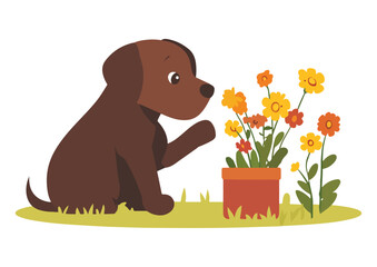 Cute brown dog smelling flowers in a pot and garden, vector illustration isolated on white background, ideal for pet, animal, nature, spring, summer, and