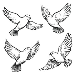 Set of four flying doves birds sketch vector illustration good for logo or decoration element religious Christian or catholic symbols of peace hope and purity