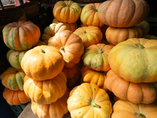 Group of yellow pumpkins together for sale at a traditional fair. Healthy food.