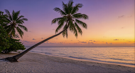Beautiful sunset over a tranquil beach with palm trees on a calm evening in a tropical location