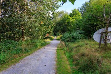 Hiking path and trees in Bavarian Forest National Park Falkenstein near Ludwigsthal (Lindberg), Germany