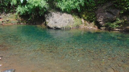 Naklejka premium Un petit lac dans la forêt tropicale