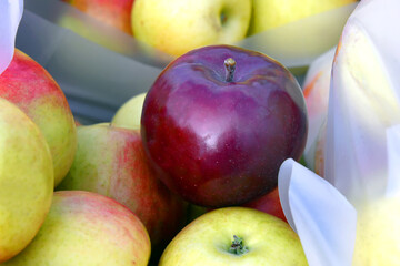 Autumn Apples for Sale