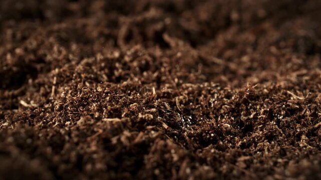 Super Slow Motion Detail Shot of Wated Drops Falling and Splashing on Soil Substrate at 1000fps.