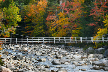 Autumn Hike on the Lincoln Woods Trailhead