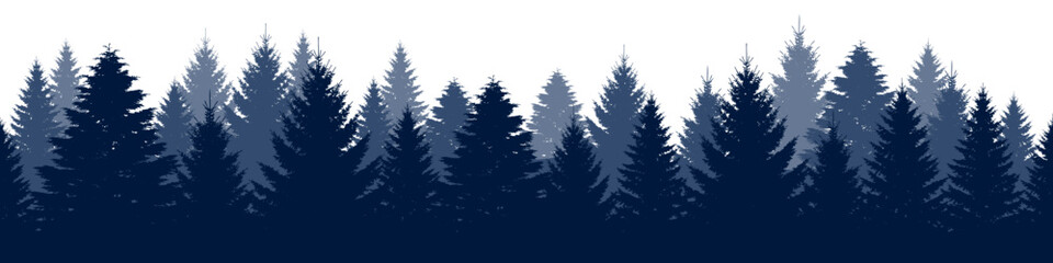 Pine trees forest silhouette. Evergreen coniferous silhouette, nature spruce tree park view. © drawing lines