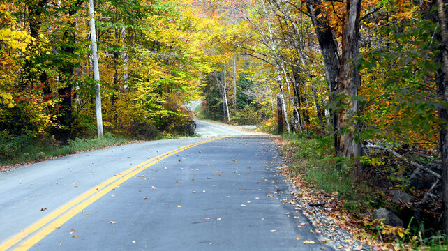 Autumn Ramble on Vermont Back Road - Powered by Adobe