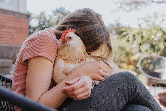 Woman embracing chicken while sitting on chair in backyard