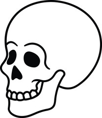 human skull vector illustration