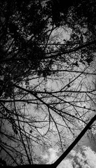 black and white background